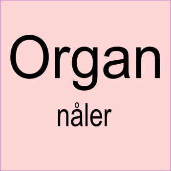 Hovedbilde Organ