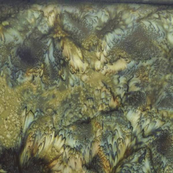 Bilde av Batikk 1895 Watercolors - fv 273 Iguana