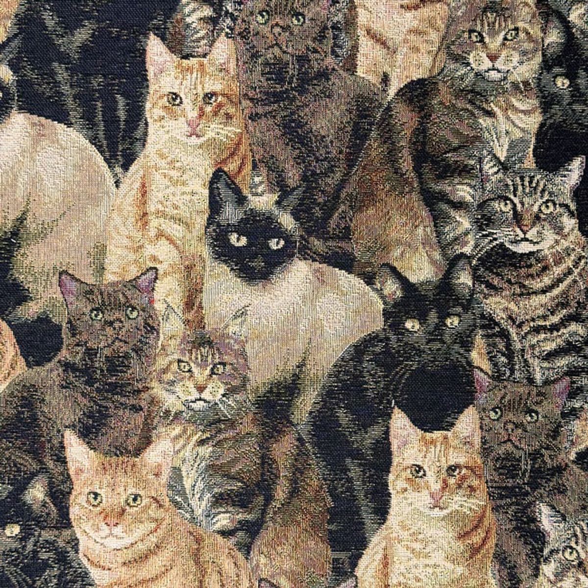 Gobelin - katter