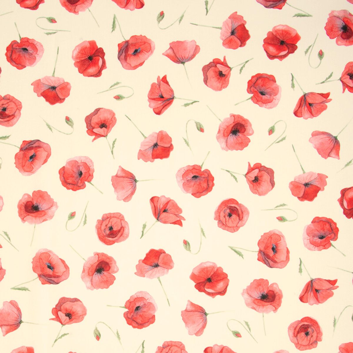 Poplin - røde valmuer / poppies