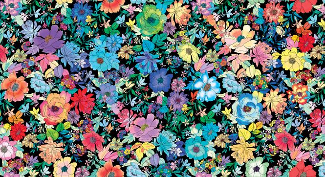 Hovedbilde Gr. Euphoria - flerfargete retroblomster på sort