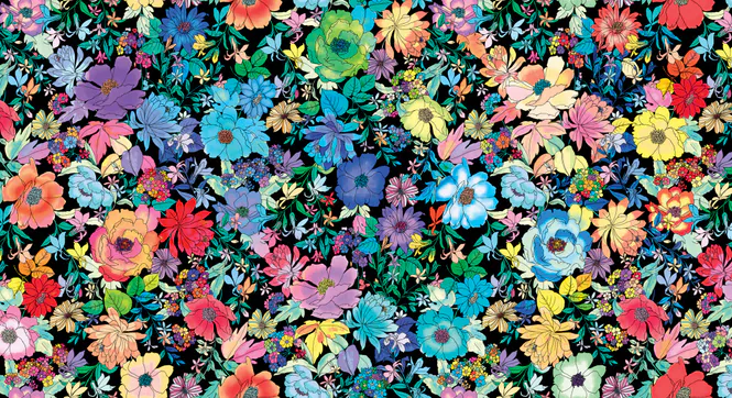 Hovedbilde Gr. Euphoria - flerfargete retroblomster på sort